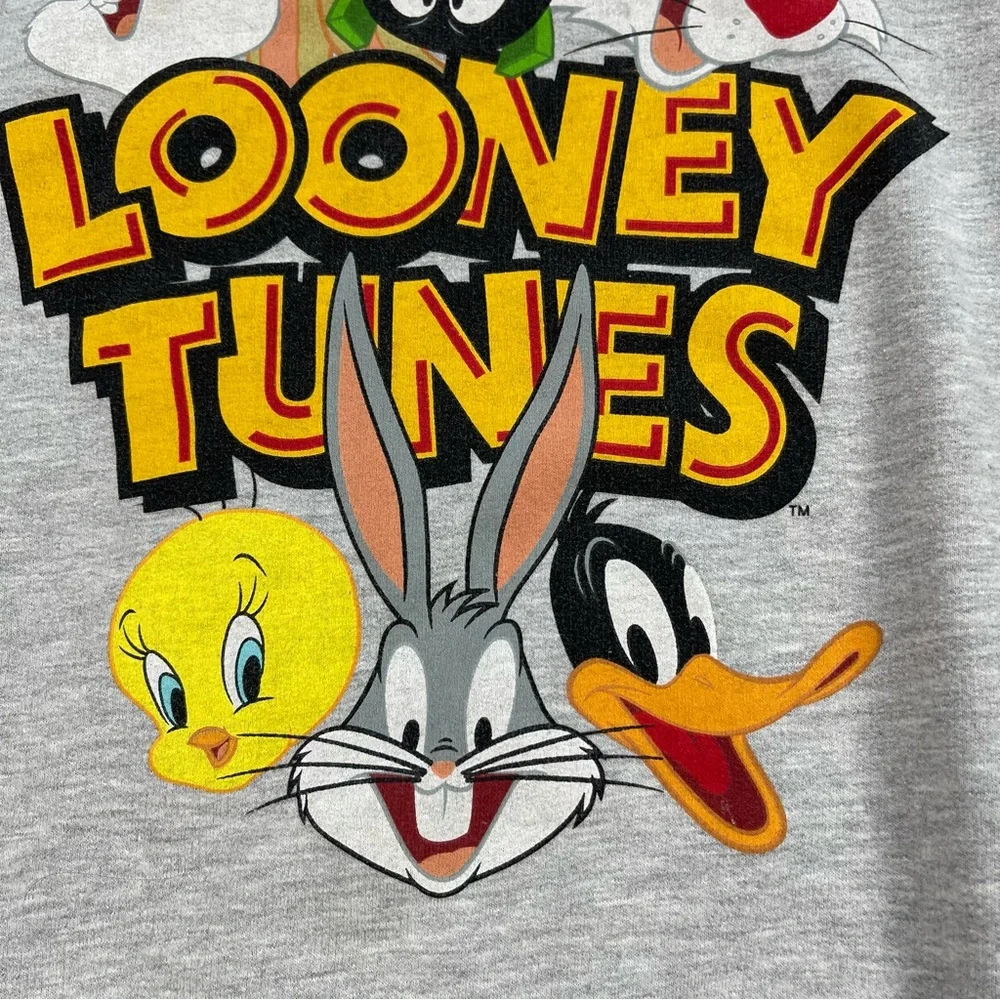 Looney Tunes Hoodie Sweatshirt Sylvester Bugs Bunny Youth Size: XL  (15-17)